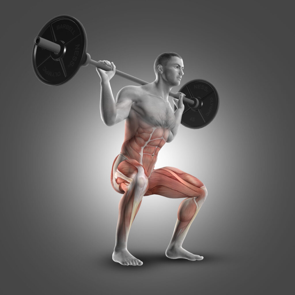 Lo squat è un esercizio completo che coinvolge molti muscoli del corpo.