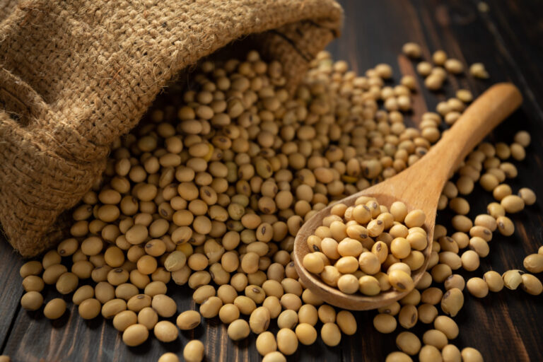 Soy bean on white table background
