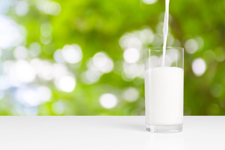 A glass of milk on a natural background